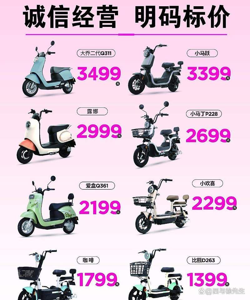 十大电动车品牌排行榜_电动车行业洗牌_九号电动车崛起