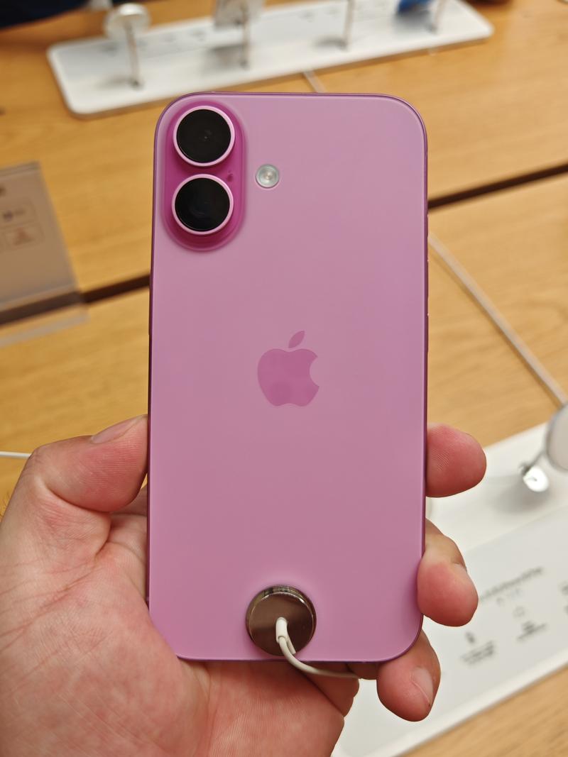 正宗早大五星枇杷苗价__早买房实现了财富增价