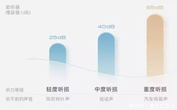 十大品牌排行榜_助听器怎么买不上当国产助听器十大品牌_国产助听器十大品牌测评