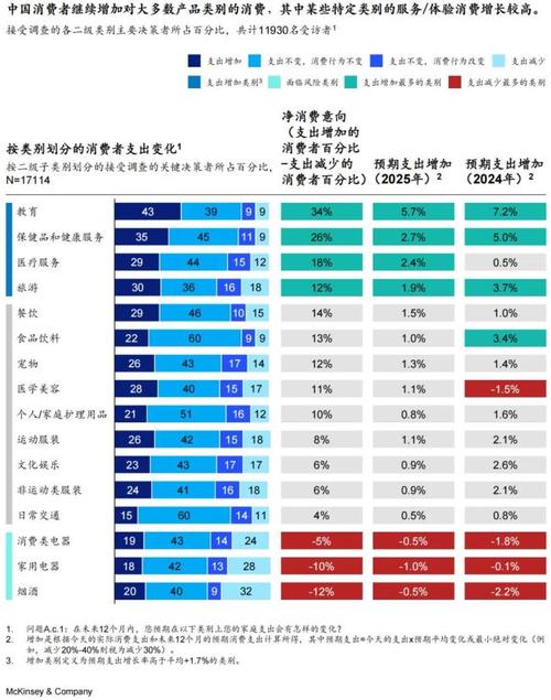 _麦肯锡消费报告2020中文_麦肯锡中国消费者报告2021