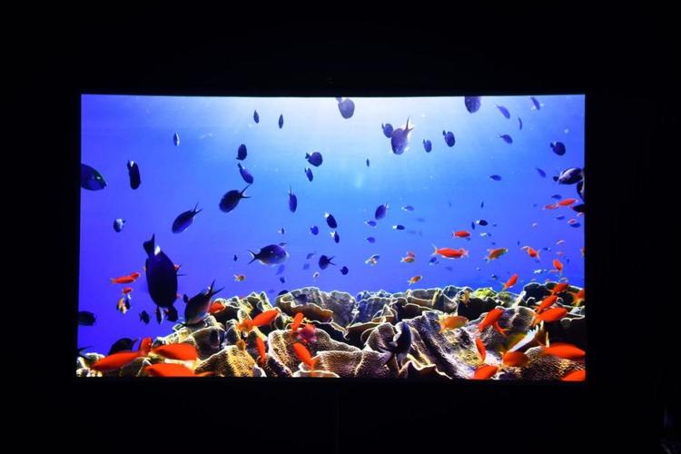 激光巨幕厅最佳观影位置__激光巨幕imax