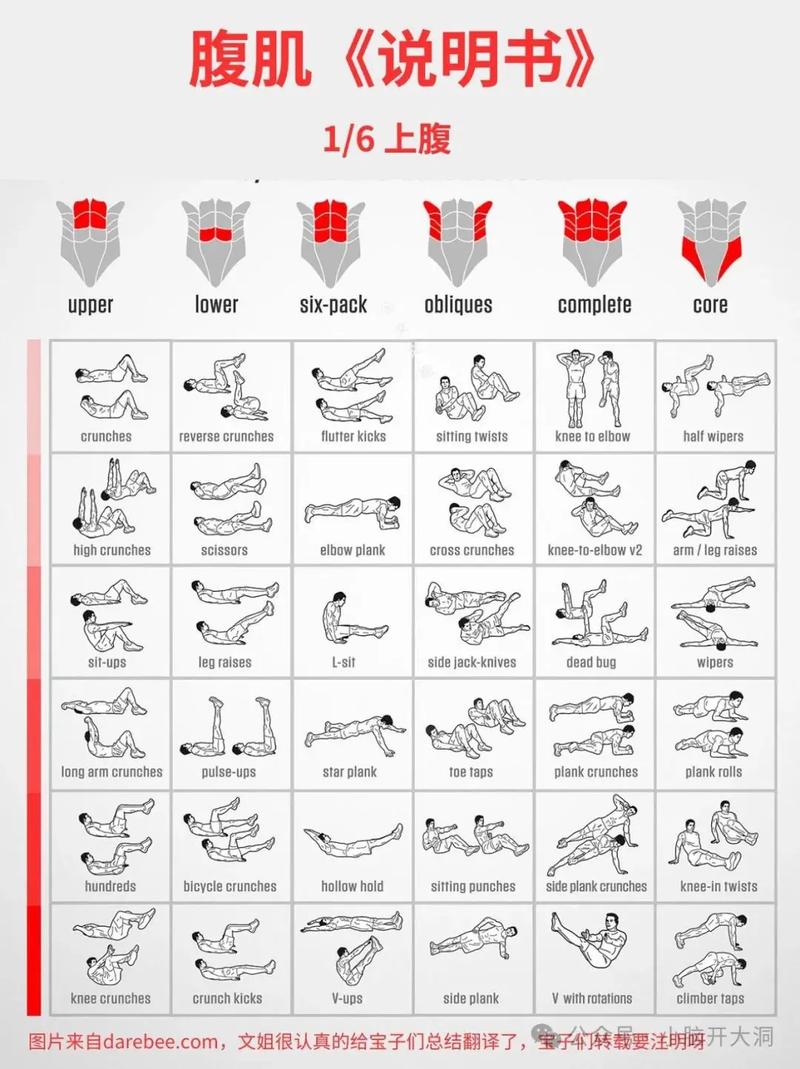 男人自律健身__自律肌肉