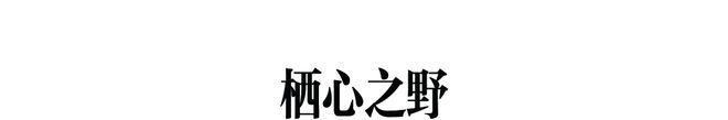 多乐士携手设计师高志强,以Mix & Match色质无界体系共绘空间情绪__多乐士携手设计师高志强,以Mix & Match色质无界体系共绘空间情绪