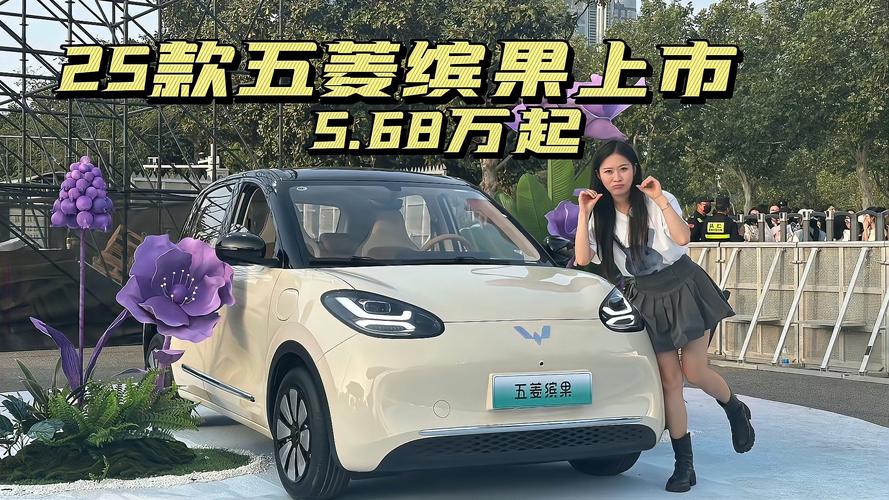 五菱宏光缤瑞__五菱汽车下乡车型