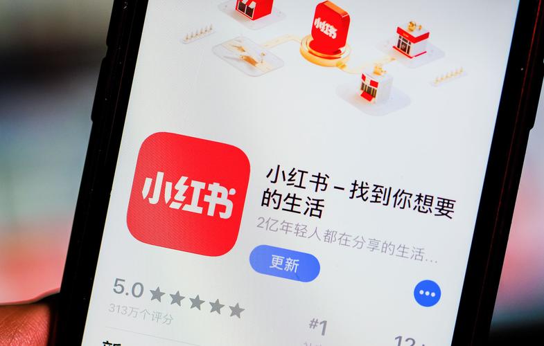 视频营销案例分析报告模式__视频营销案例及分析