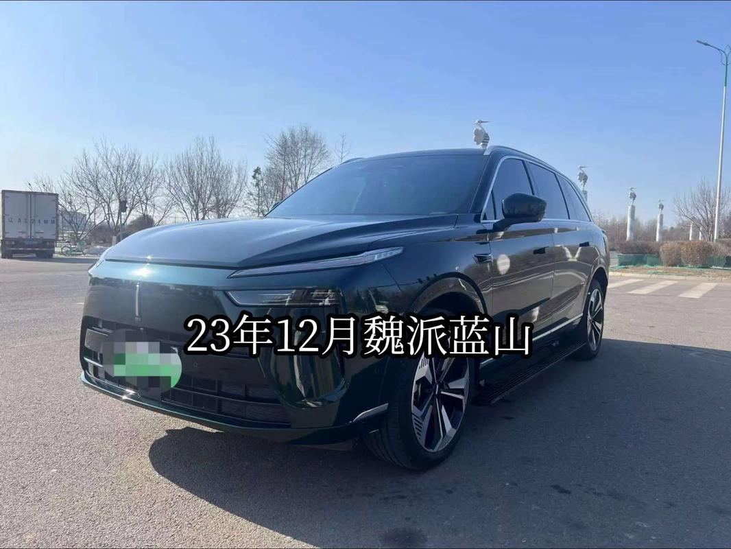 魏牌全新蓝山申报 定位豪华方盒子 提供五座/六座两种布局__魏牌全新蓝山申报 定位豪华方盒子 提供五座/六座两种布局